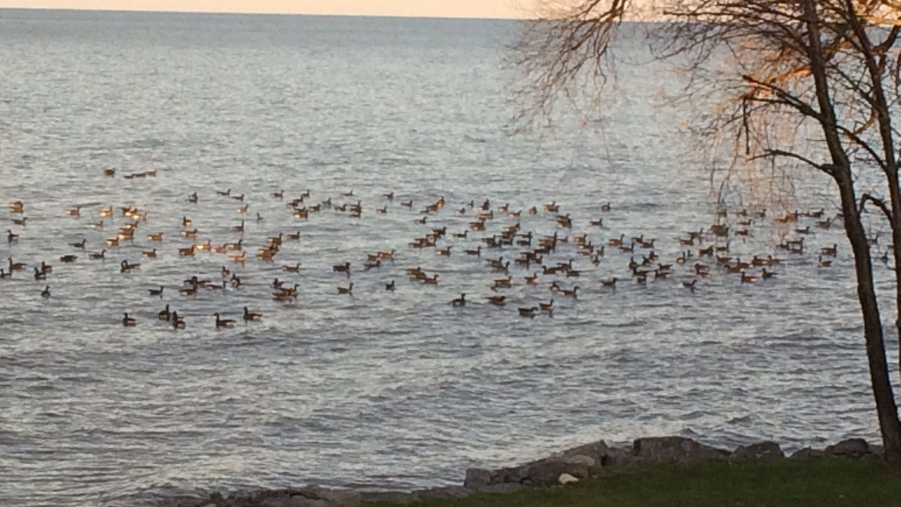 Photo of Others in Fancher