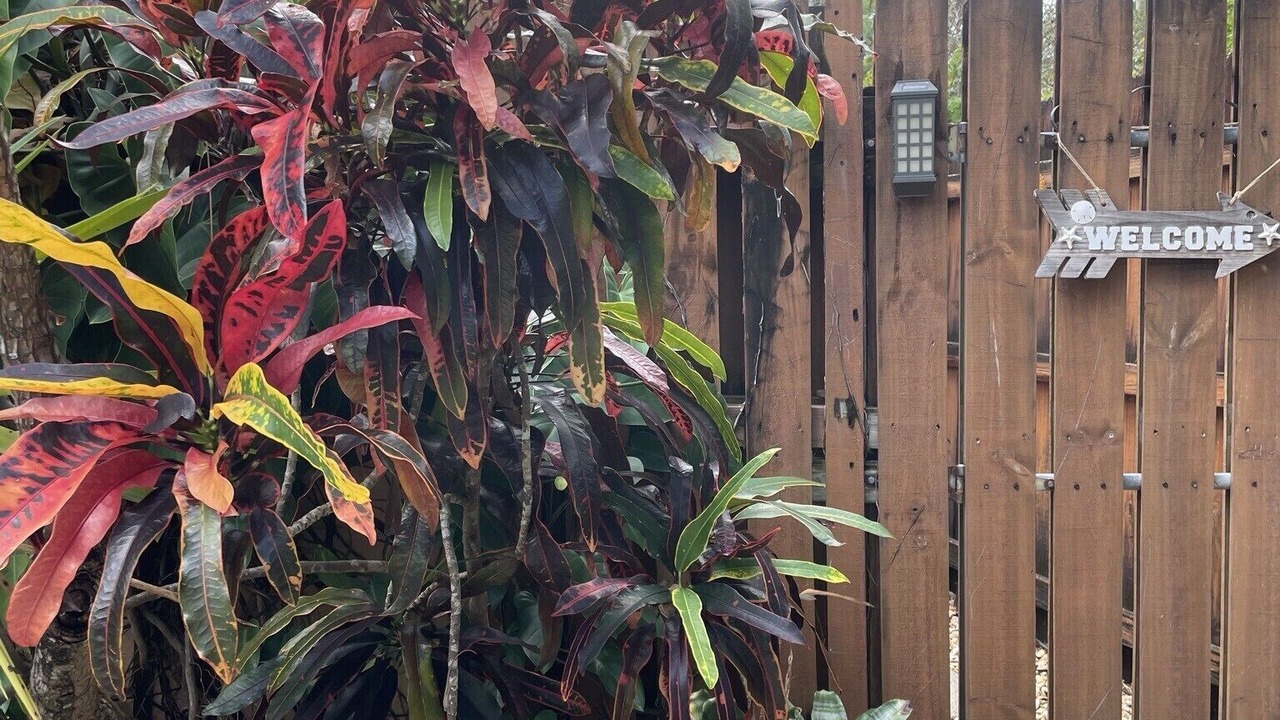 Photo of Outdoor in Riverside Park