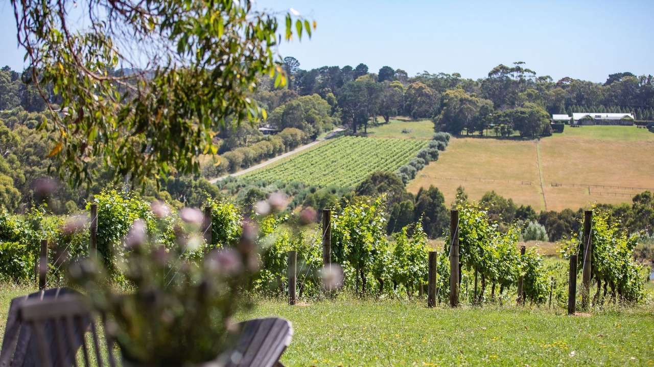 Photo of Outdoor in Shoreham