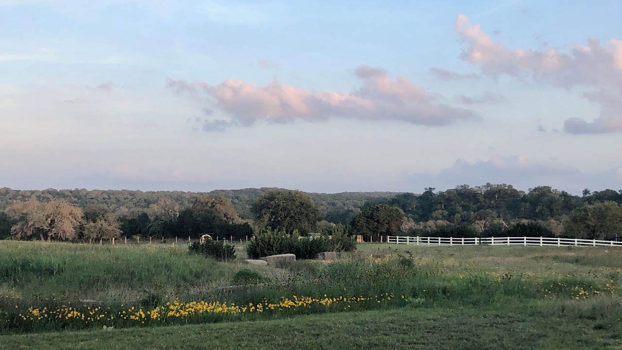 Photo of Others in Dripping Springs