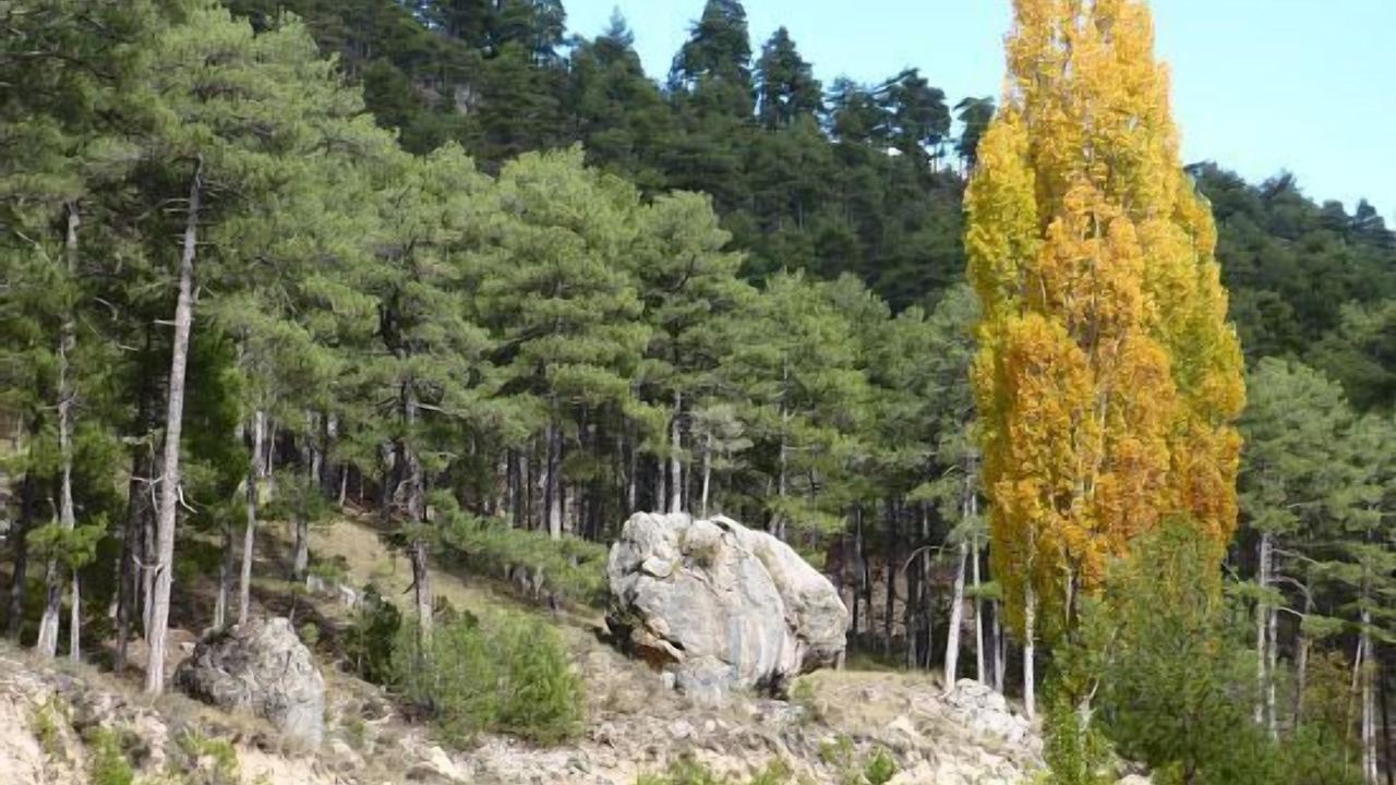 Photo of Others in Huelamo