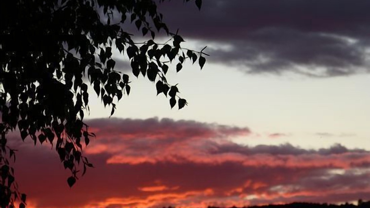 Photo of Others in Huelamo