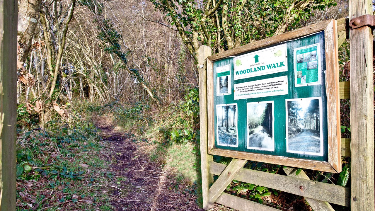 Photo of Others in St Wenn