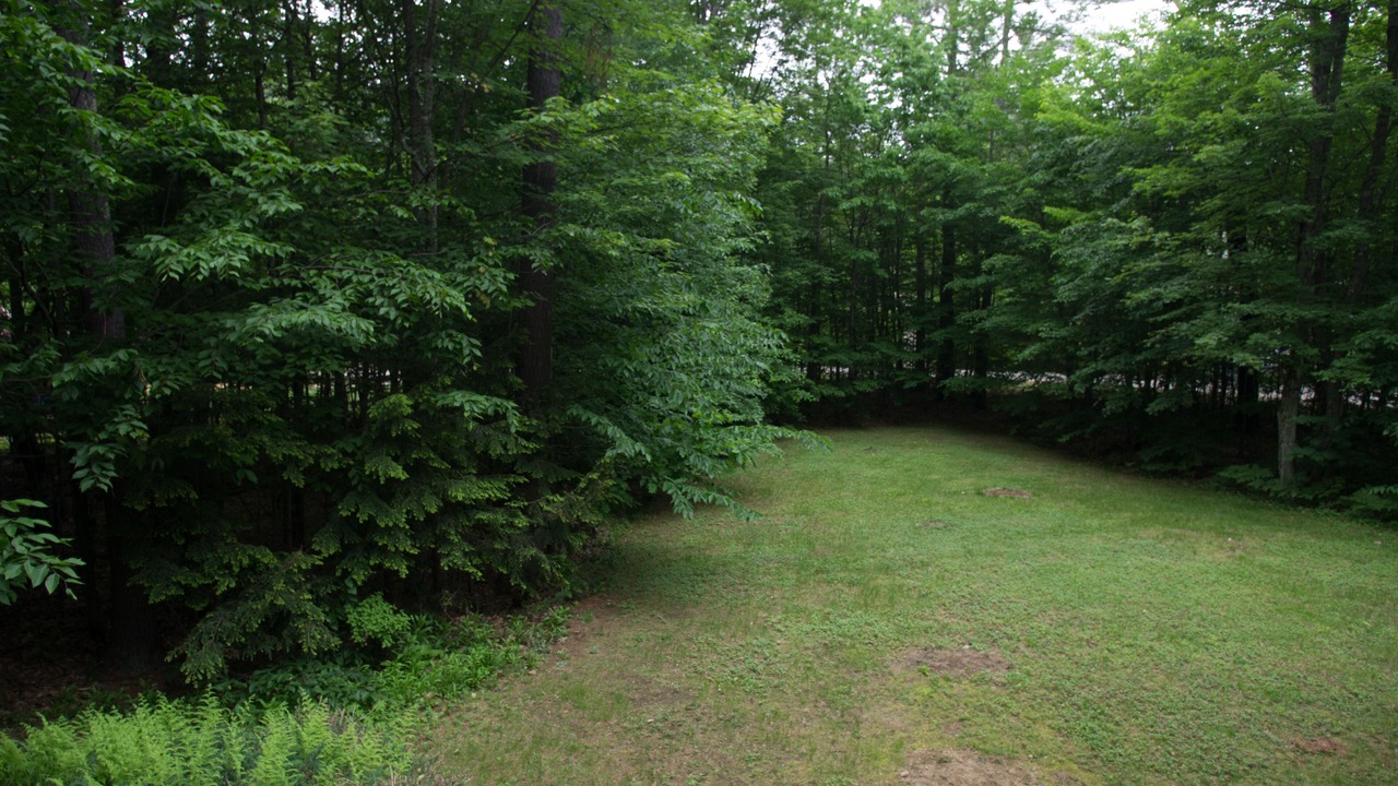 Photo of Others in Bartlett