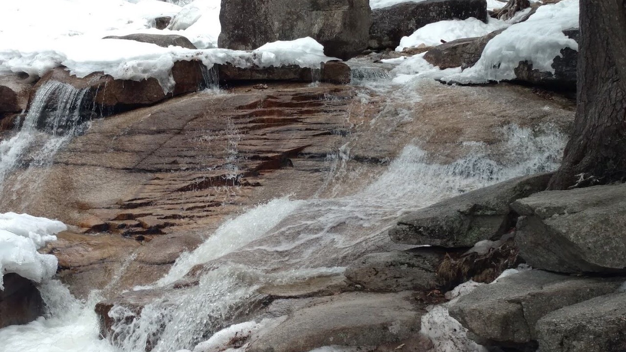 Photo of Others in Bartlett