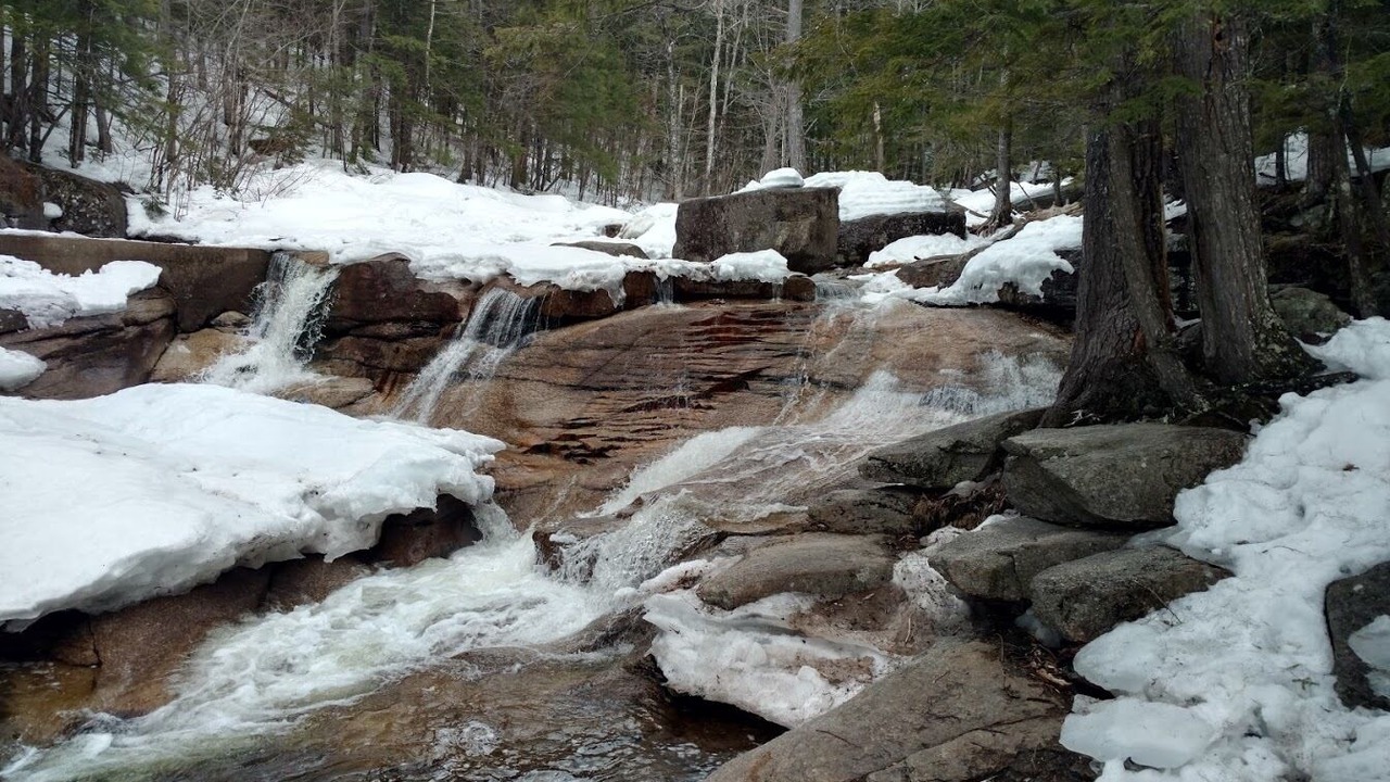 Photo of Outdoor in Bartlett