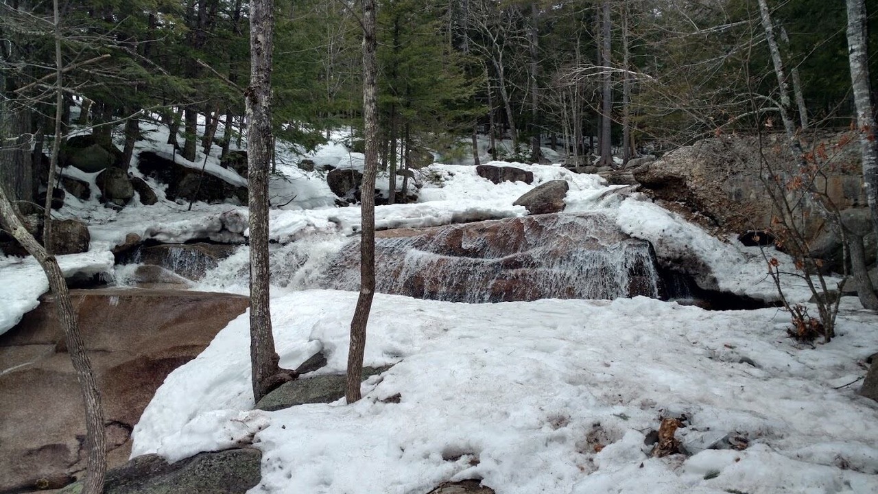 Photo of Others in Bartlett