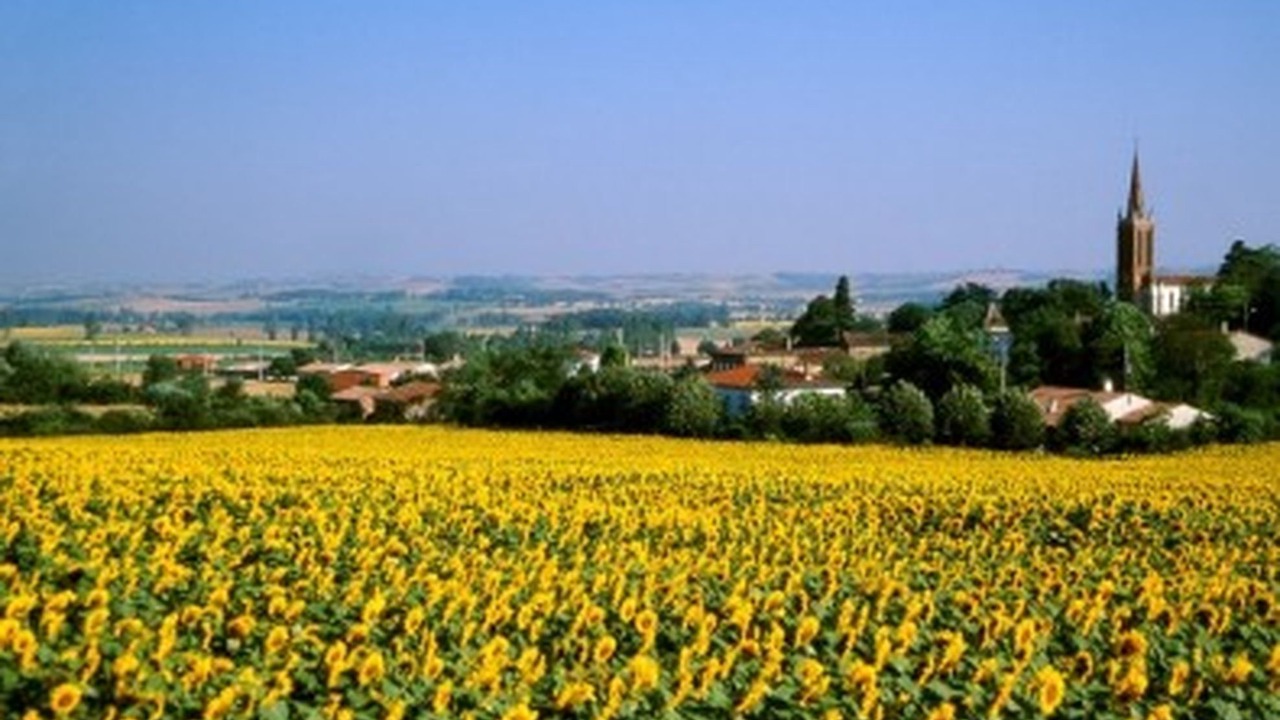 Photo of Outdoor in Villefranche-de-Lauragais