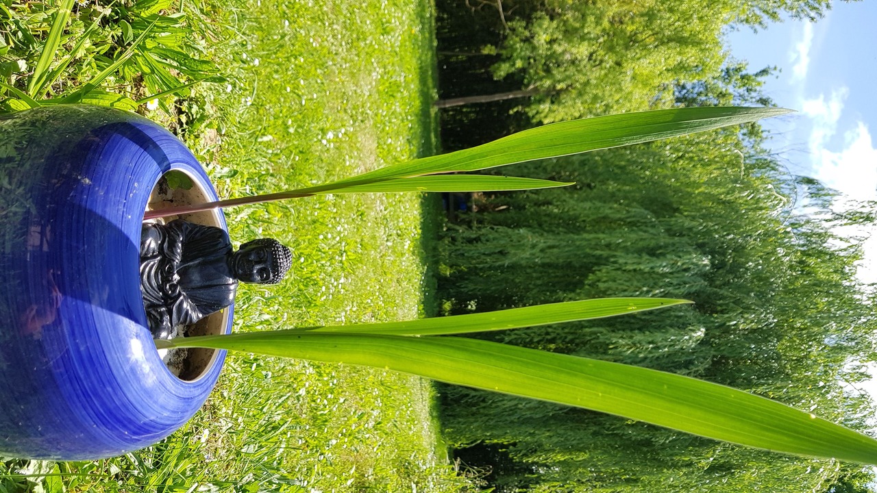 Photo of Others in Villefranche-de-Lauragais