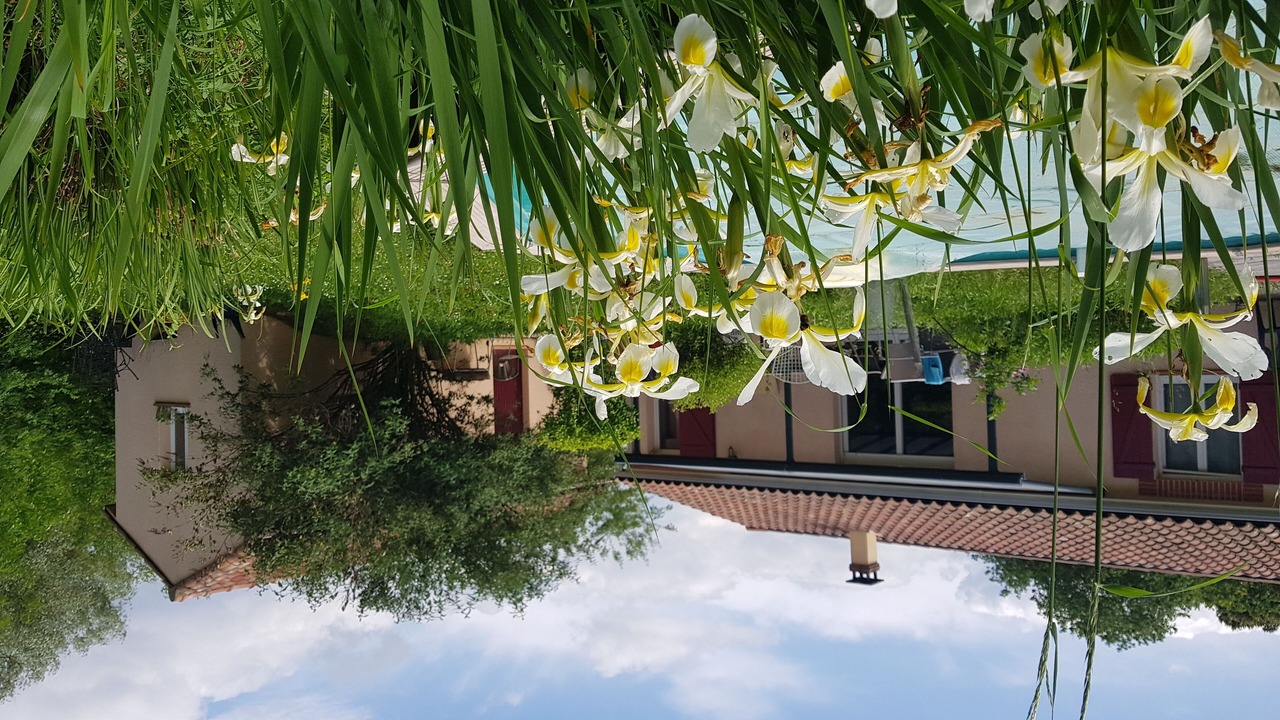 Photo of Outdoor in Villefranche-de-Lauragais