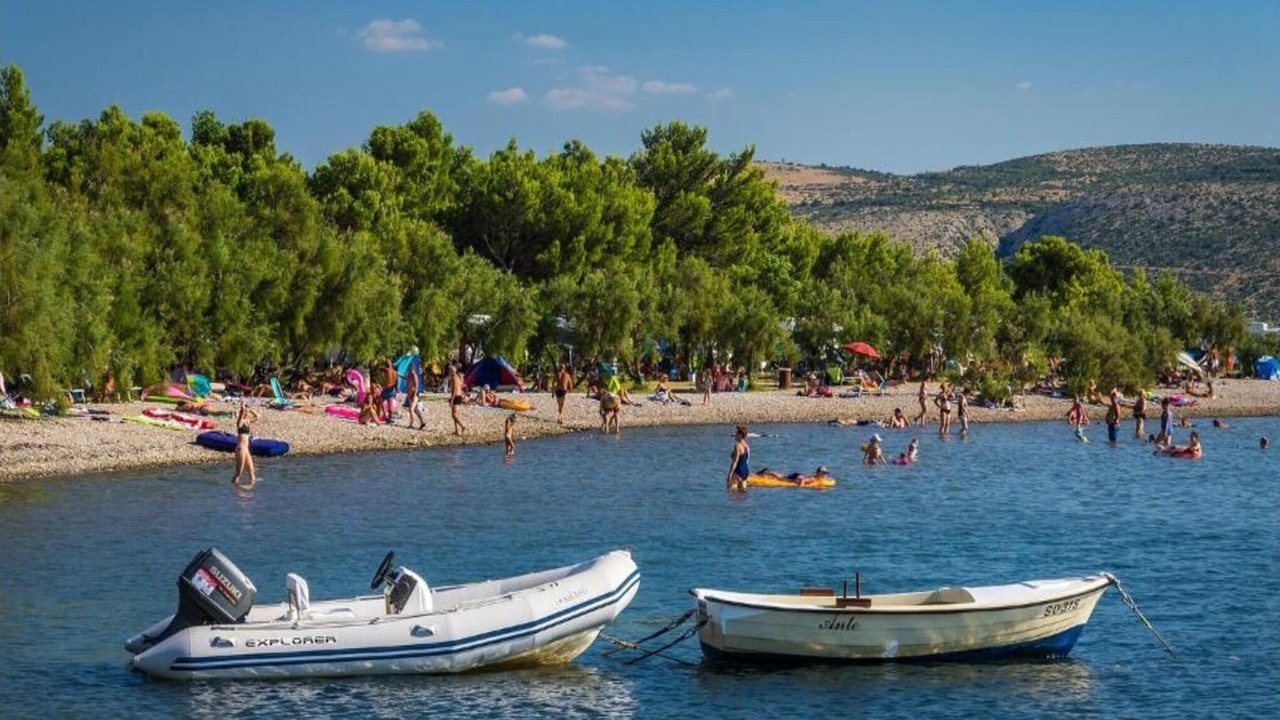 Photo of Others in Seline