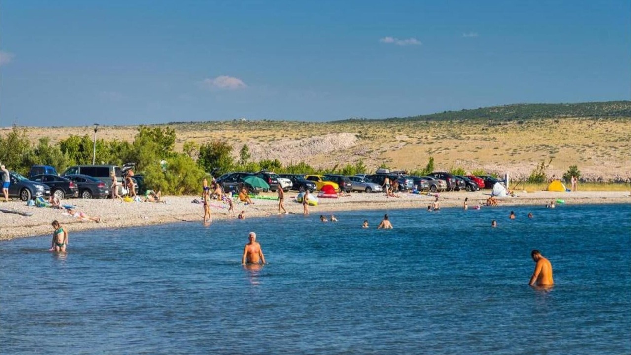 Photo of Others in Seline