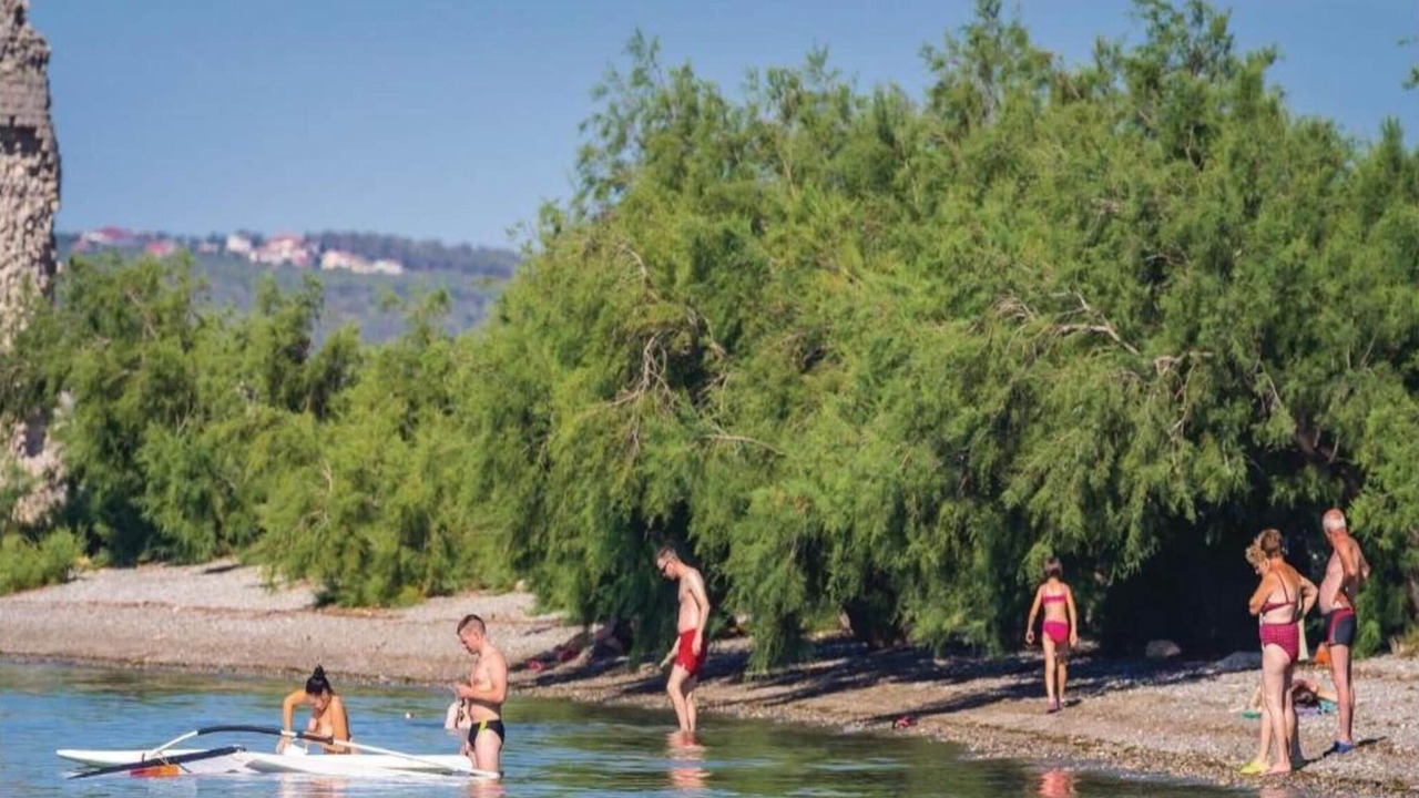 Photo of Others in Seline