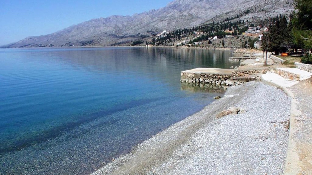 Photo of Others in Seline