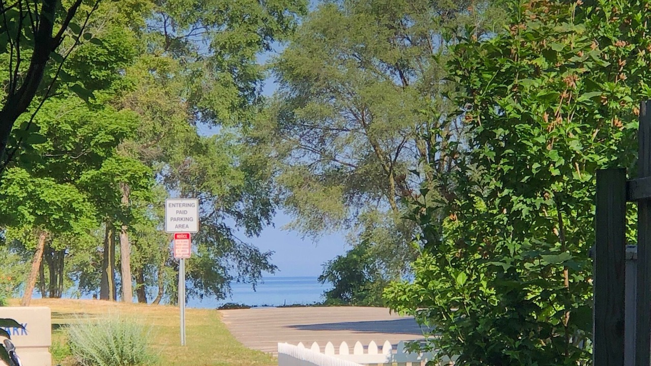 Photo of Outdoor in South Haven