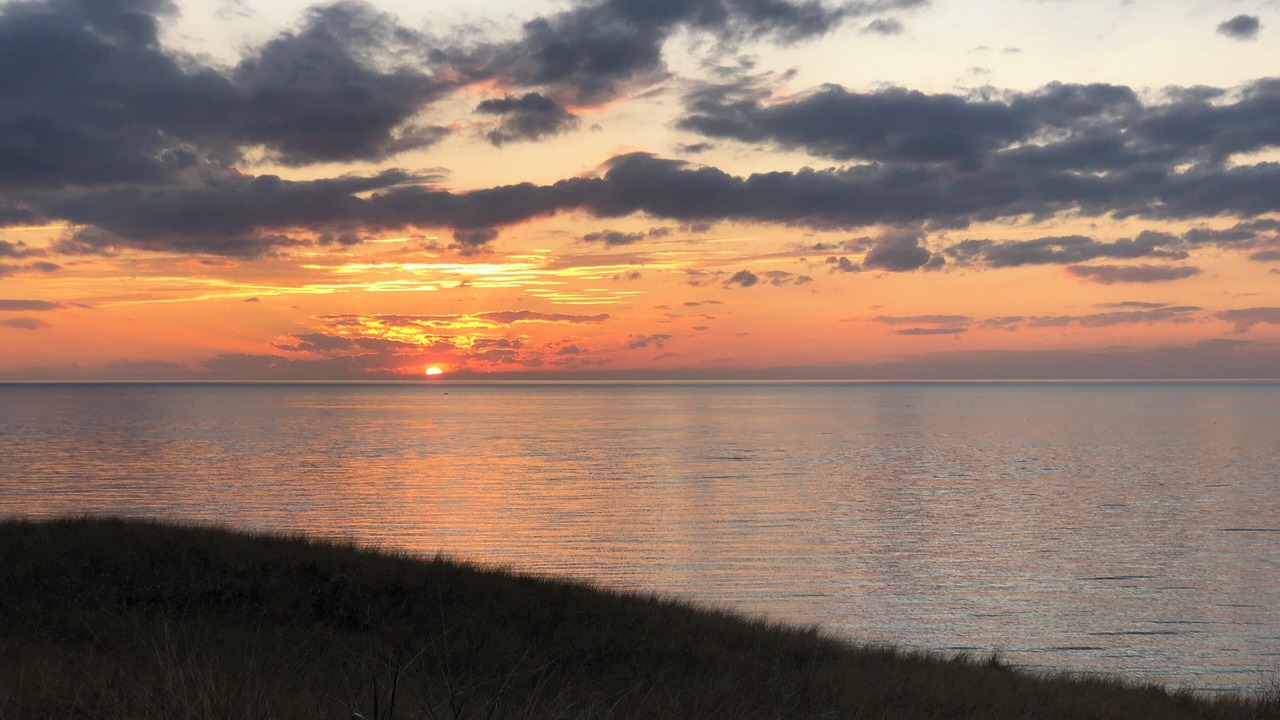 Photo of Others in South Haven