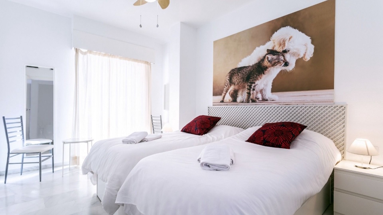 Photo of Bedroom in La Malagueta