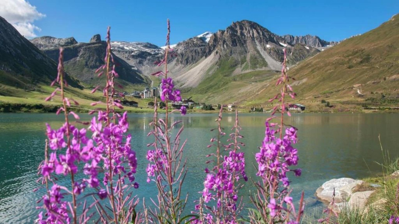 Photo of Others in Tignes