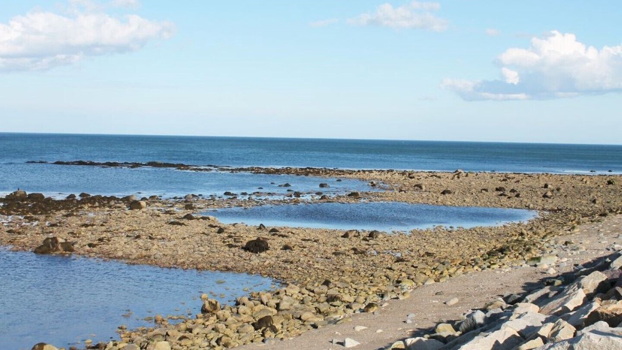 Photo of Others in Brant Rock