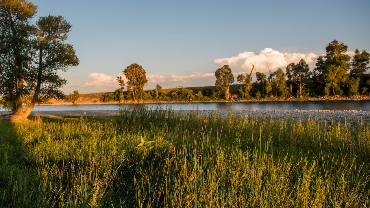 Photo of Others in Big Timber