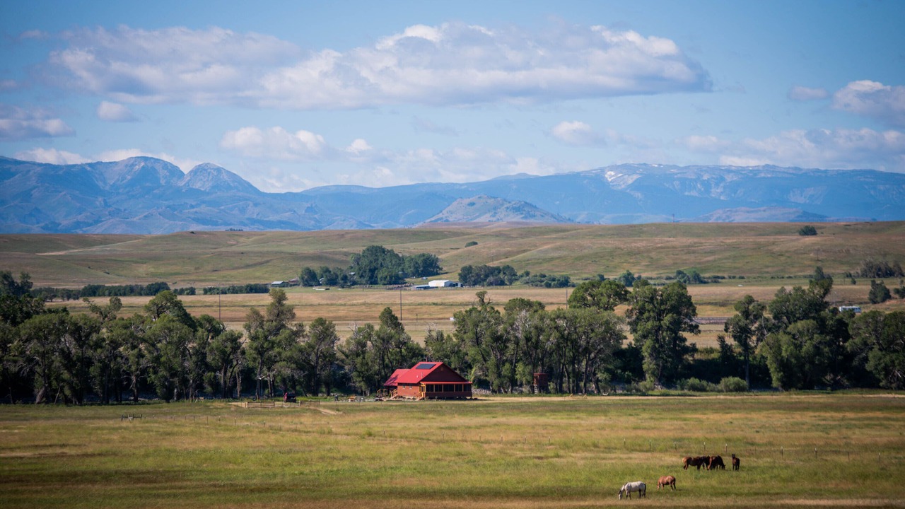 Photo of Others in Big Timber