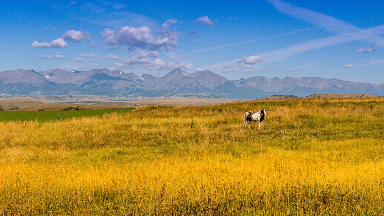 Photo of Outdoor in Big Timber
