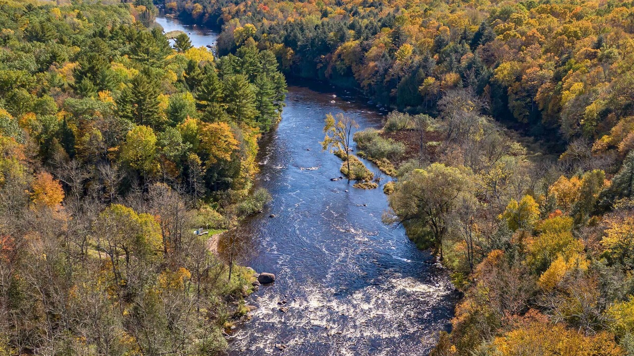 Photo of Others in White Lake