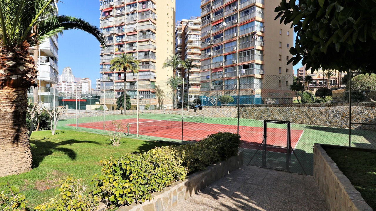 Photo of Others in Benidorm