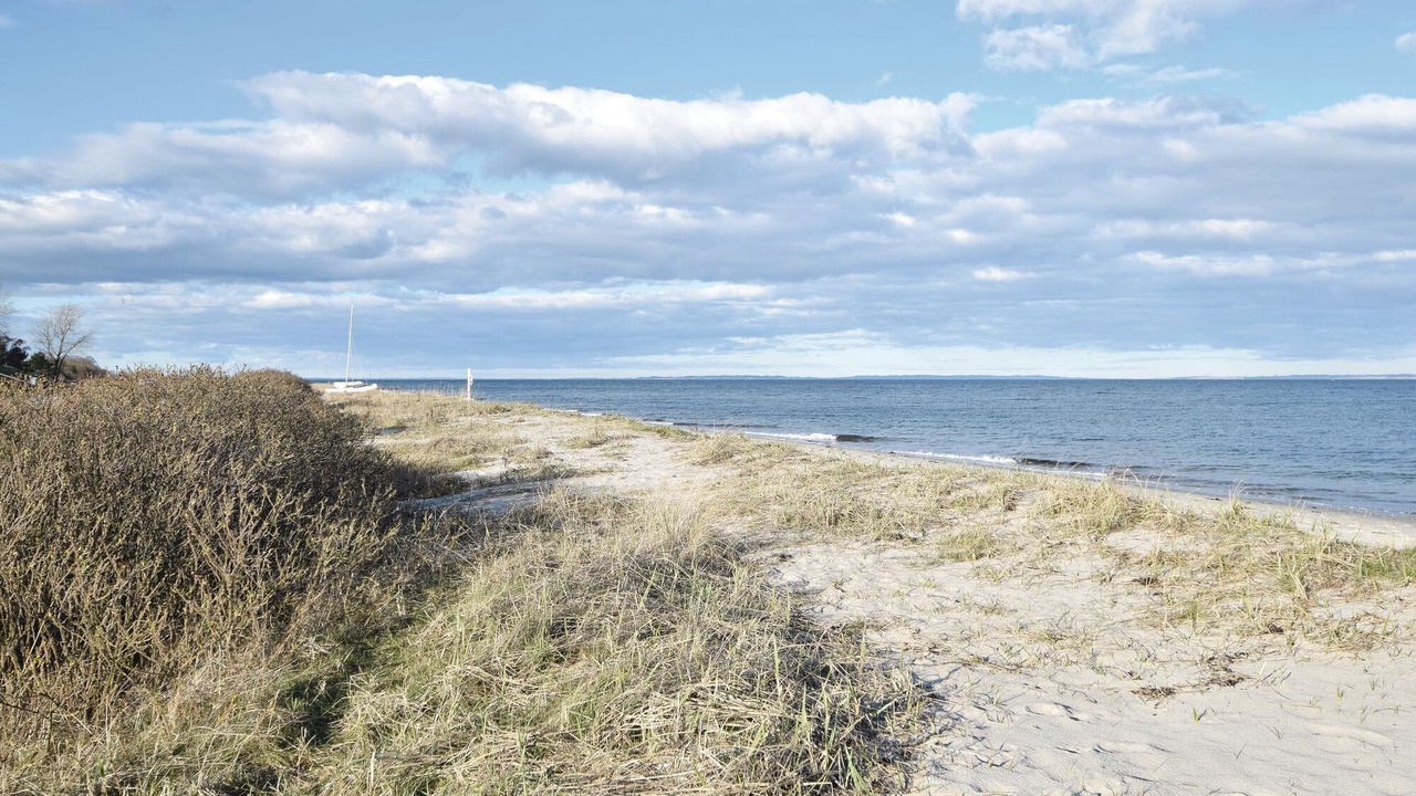 Photo of Others in Ajstrup