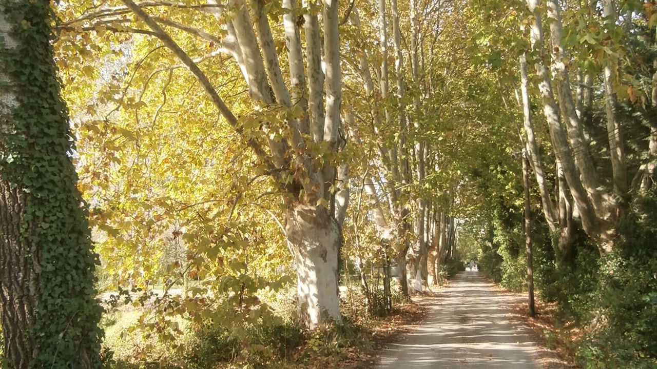 Photo of Outdoor in Entraigues-sur-la-Sorgue