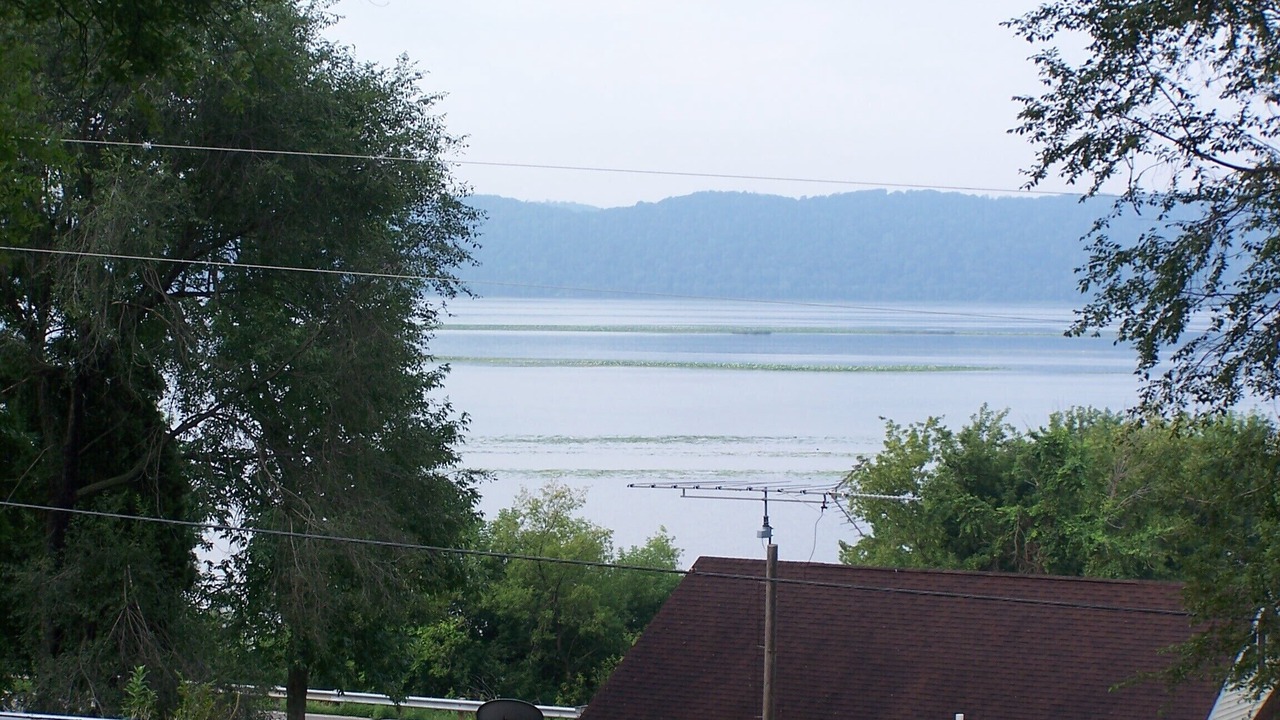 Photo of Others in Ferryville