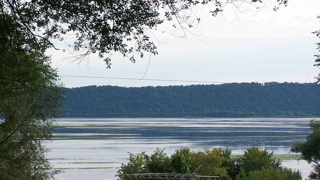 Photo of Others in Ferryville