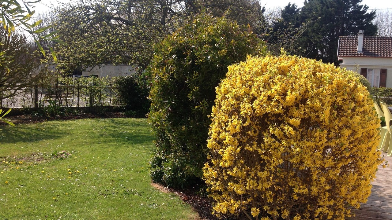 Photo of Outdoor in Langrune-sur-Mer