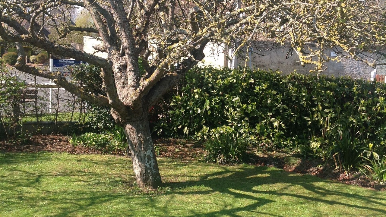 Photo of Outdoor in Langrune-sur-Mer