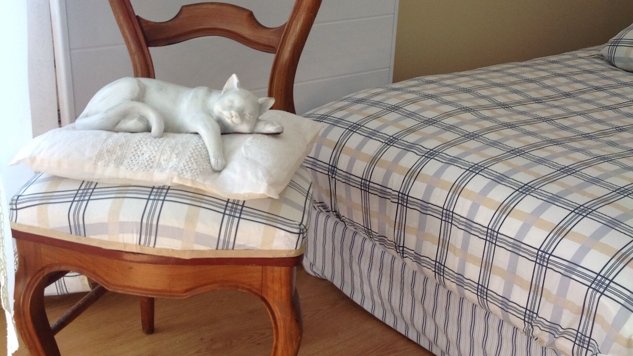 Photo of Bedroom in Langrune-sur-Mer