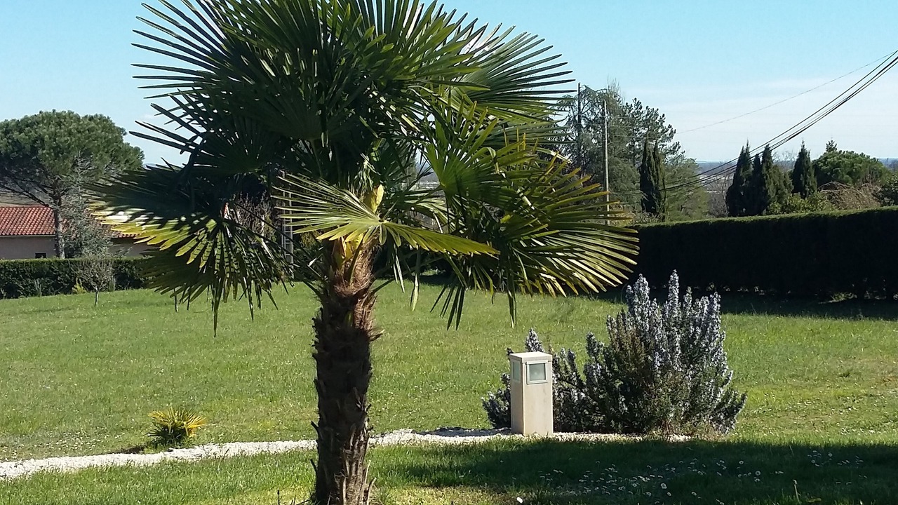 Photo of Outdoor in Moissac