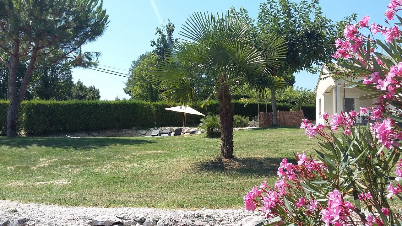 Photo of Outdoor in Moissac