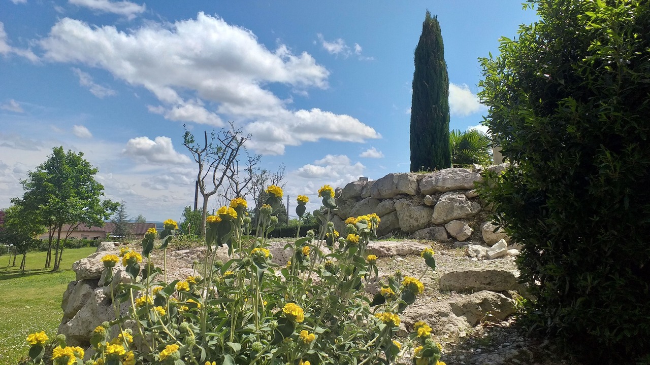 Photo of Outdoor in Moissac
