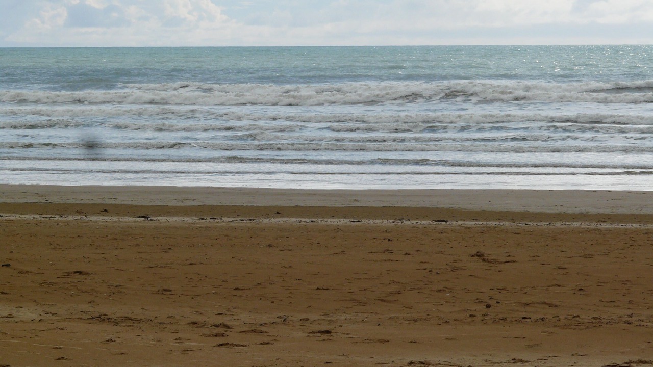 Photo of Others in Saint-Jean-de-Monts