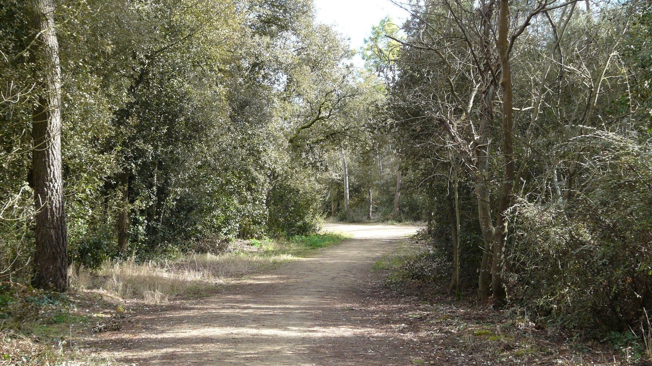 Photo of Outdoor in Saint-Jean-de-Monts