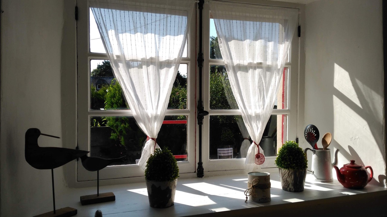 Photo of Others in Plesidy