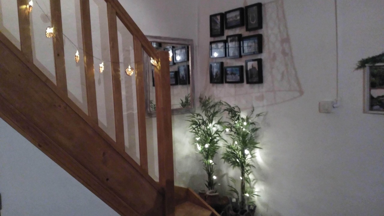 Photo of Others in Plesidy