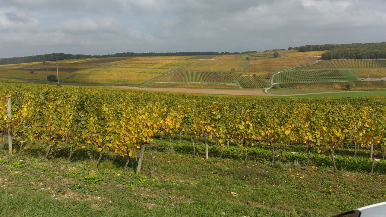 Photo of Outdoor in Ternant