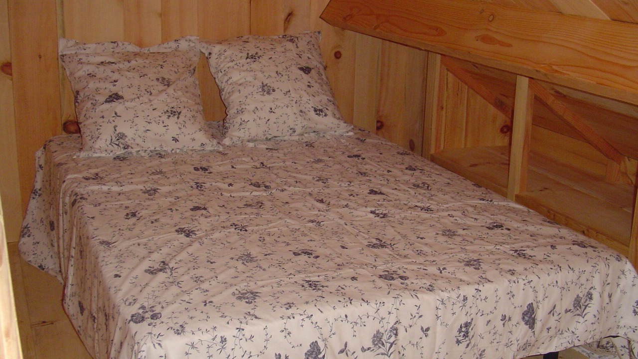 Photo of Bedroom in Ternant