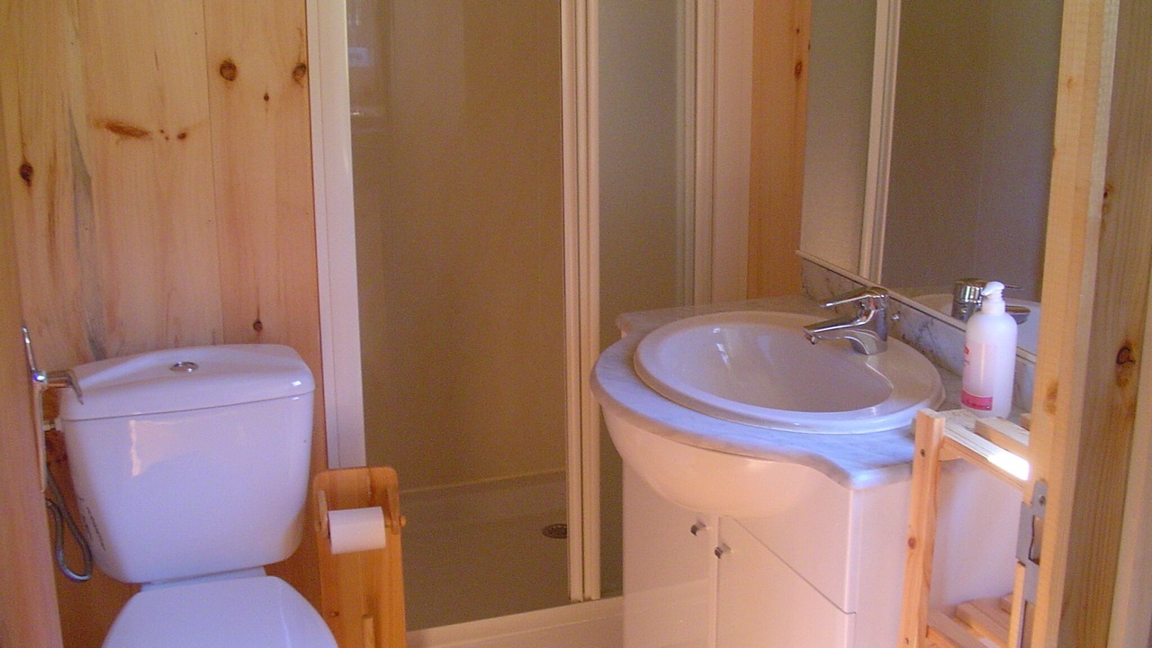 Photo of Bathroom in Ternant