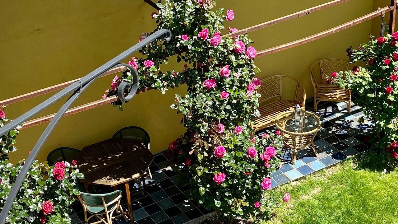 Photo of Outdoor in Loches
