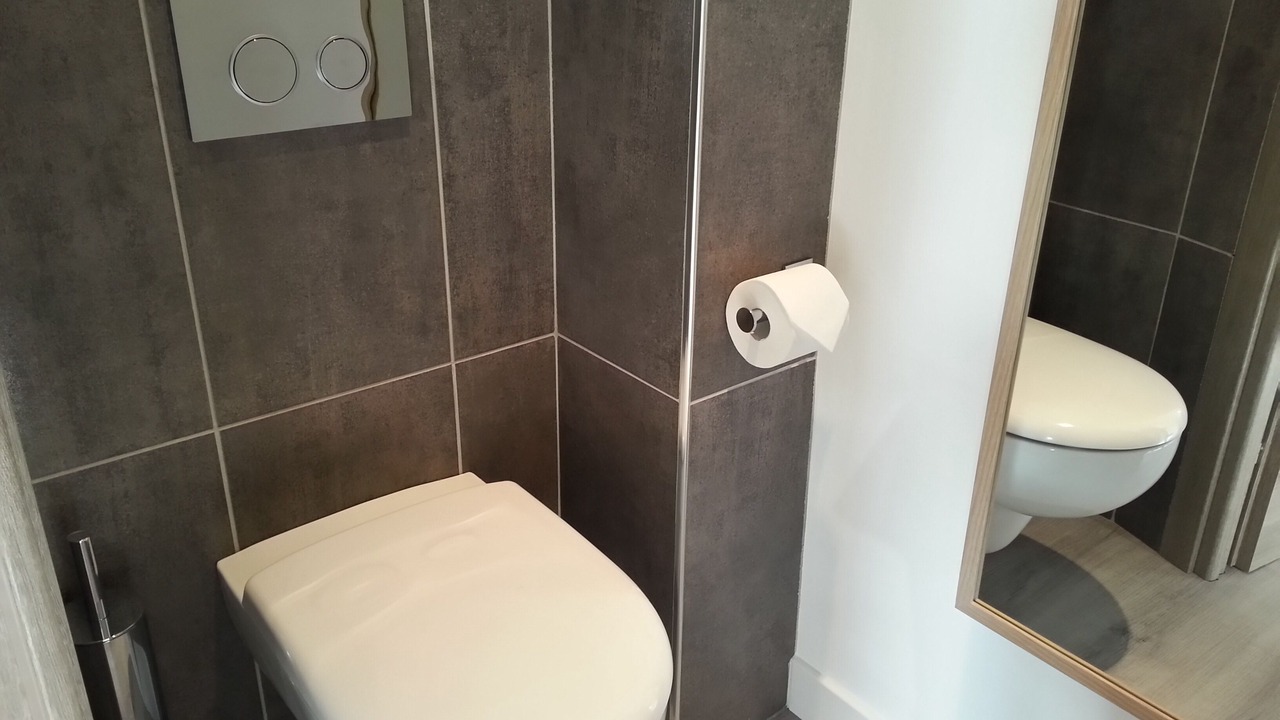 Photo of Bathroom in California - Pezou