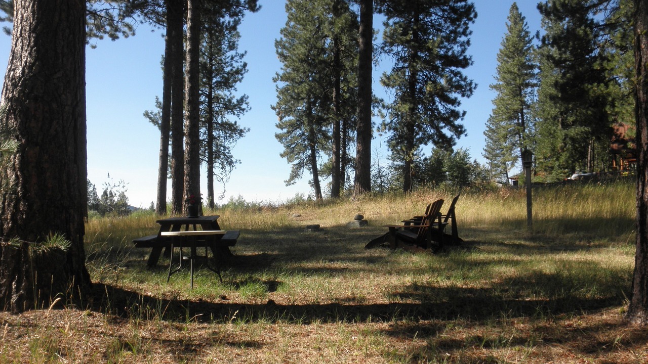 Photo of Others in McCall