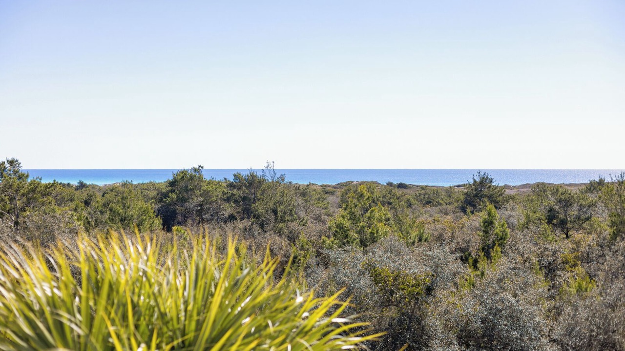 Photo of Others in Dune Allen Beach