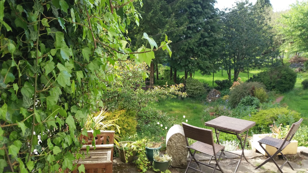 Photo of Others in Dunblane